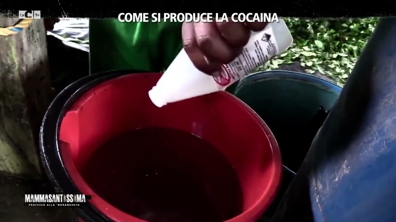 Cocaina, ecco come nasce l'oro bianco gestito dalla 'ndrangheta - Mammasantissima