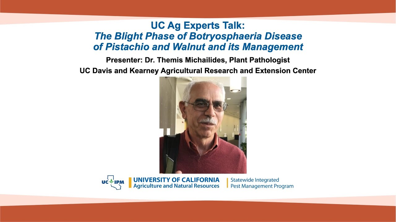 UC Ag Experts Talk: Blight Phase of Botryosphaeria Disease of Pistachio & Walnut and its Management