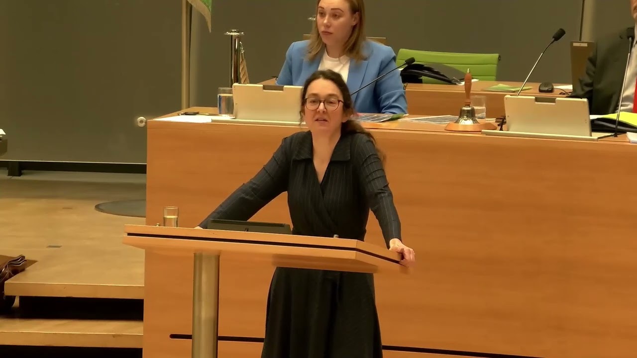 Rede zum AfD Antrag Pressegesetz