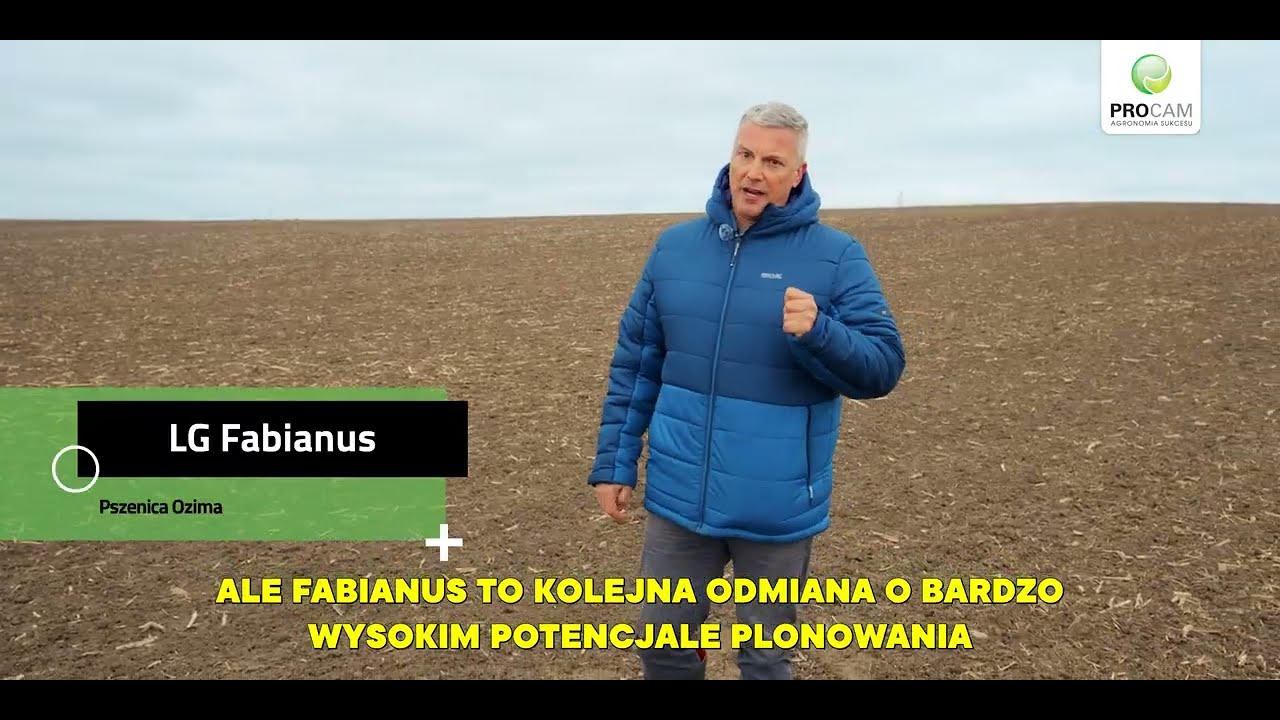 Pszenica ozima LG Fabianus #agronomia