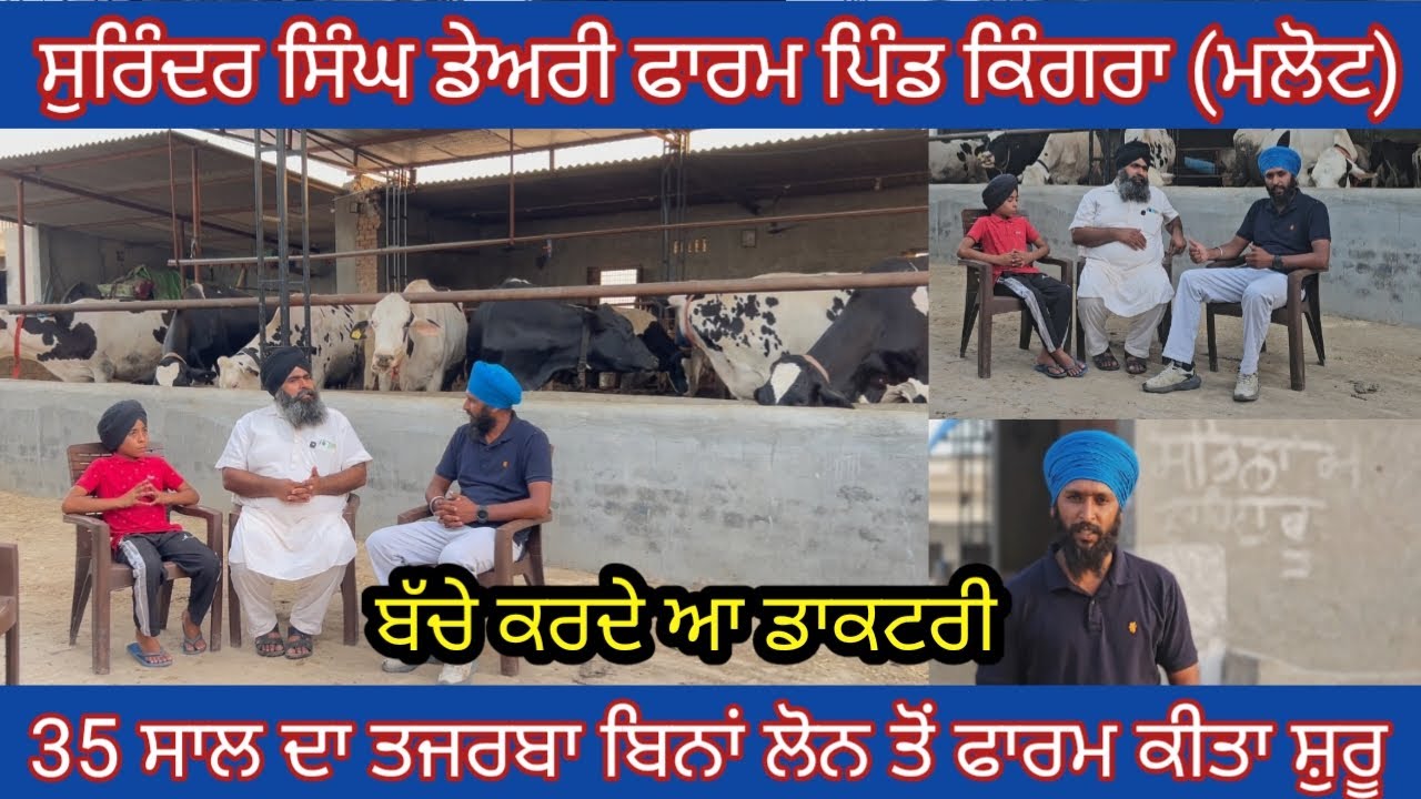 How To Start Dairy Farm In 2025! dairy Farm In Punjab! #dairy #dairyfarming
