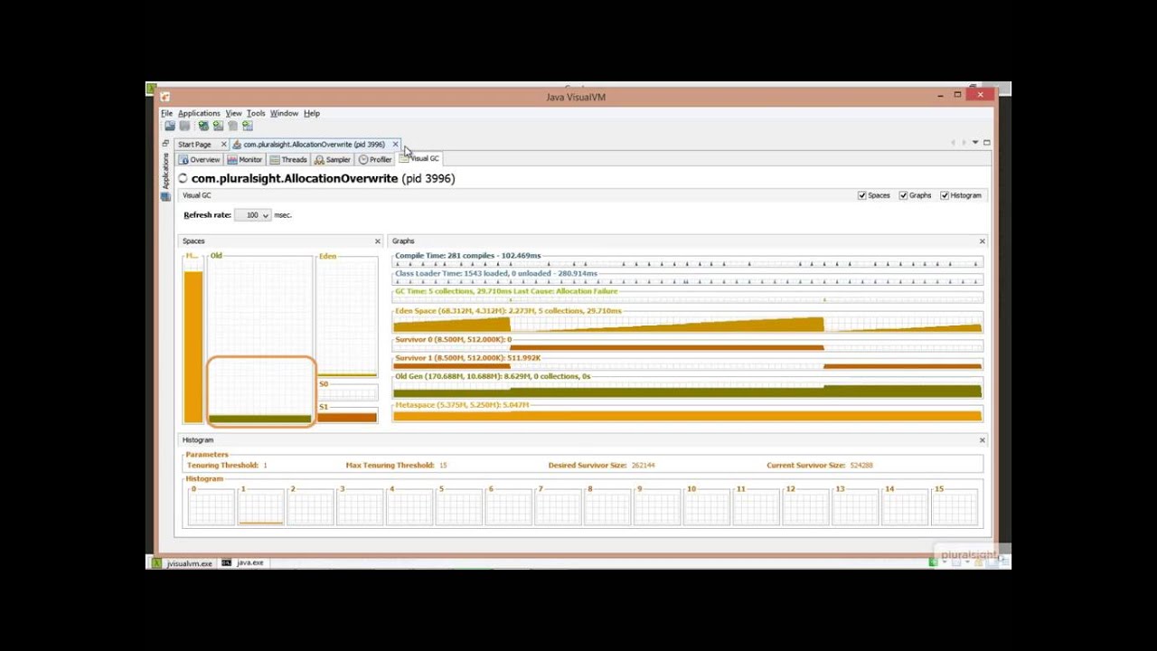 03 05 Using VisualVM and VisualGC
