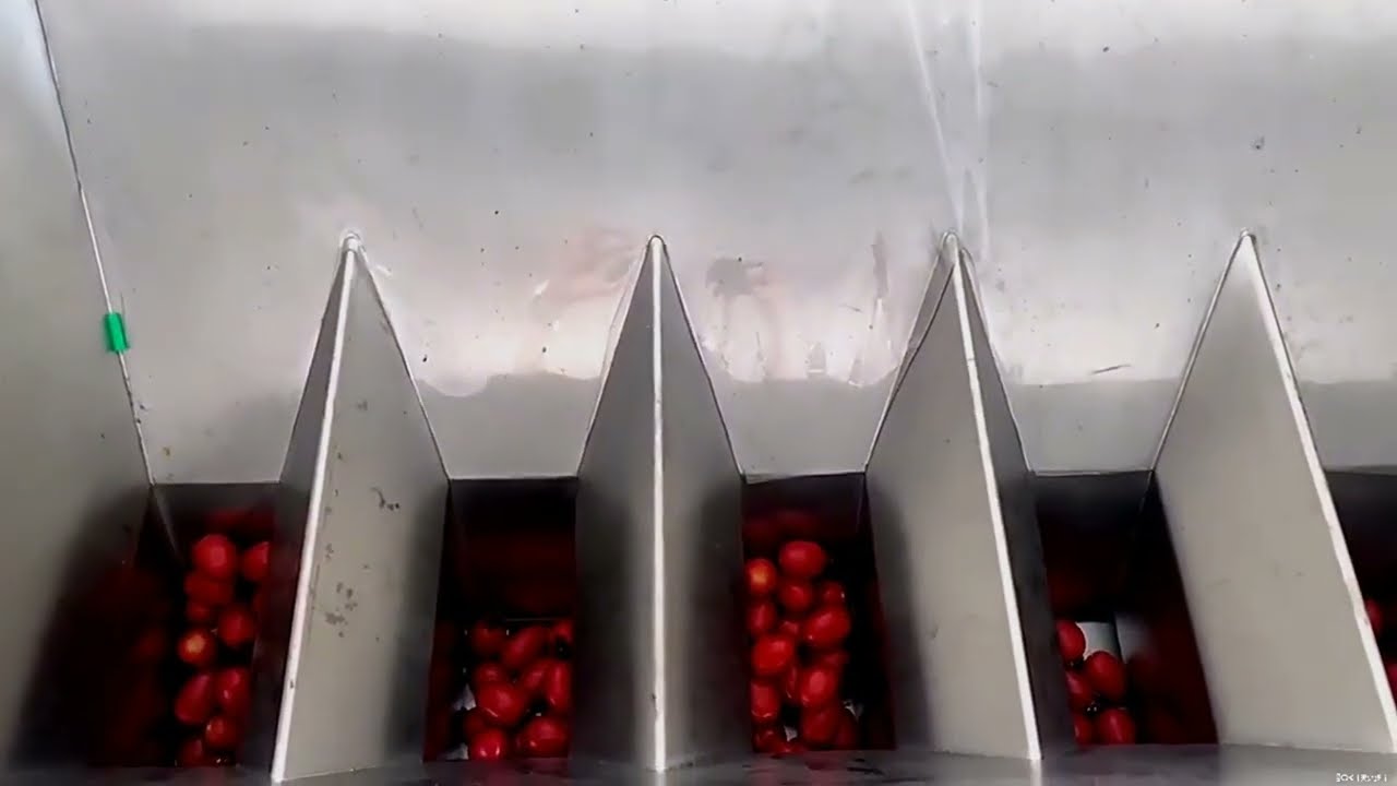 Automatic linear type filler 6 heads scale filler