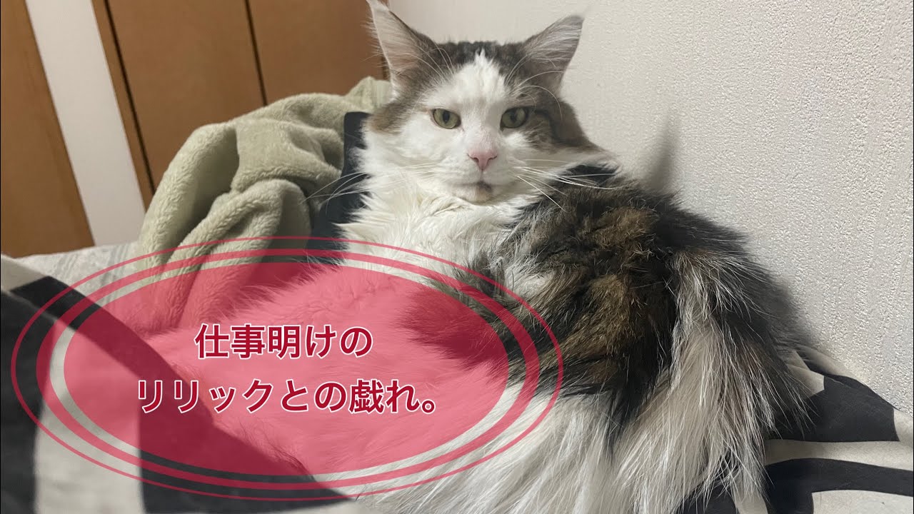 仕事明けのリリックとの戯れ