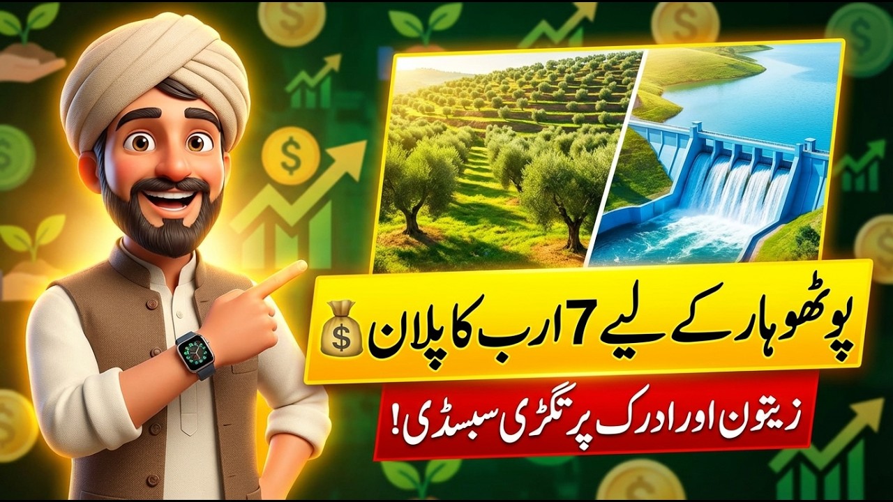 Punjab Govt&rsquo;s Rs 7 Billion Plan for Potohar: Olive, Ginger & Mini Dams Guide 2026