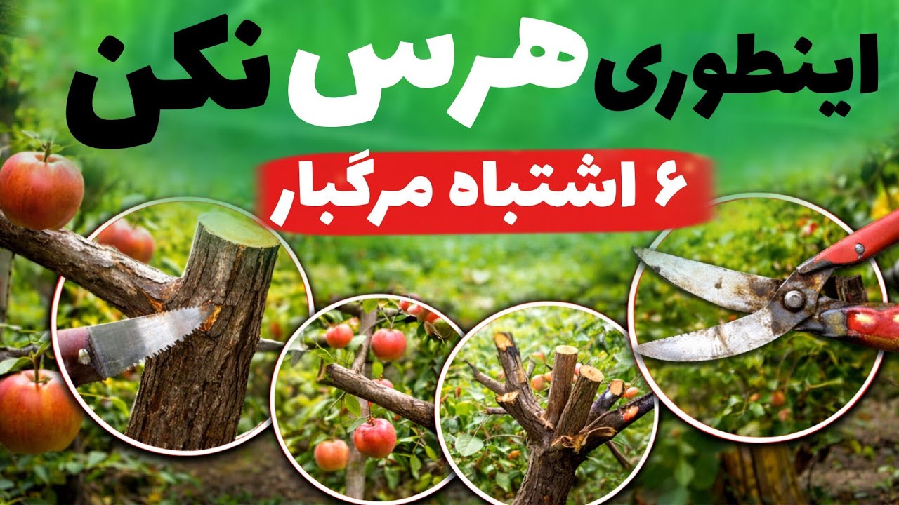 ۶ اشتباه مرگبار زمان هرس😭 پیش از شروع شاخه‌بری این ویدیو را حتما ببین