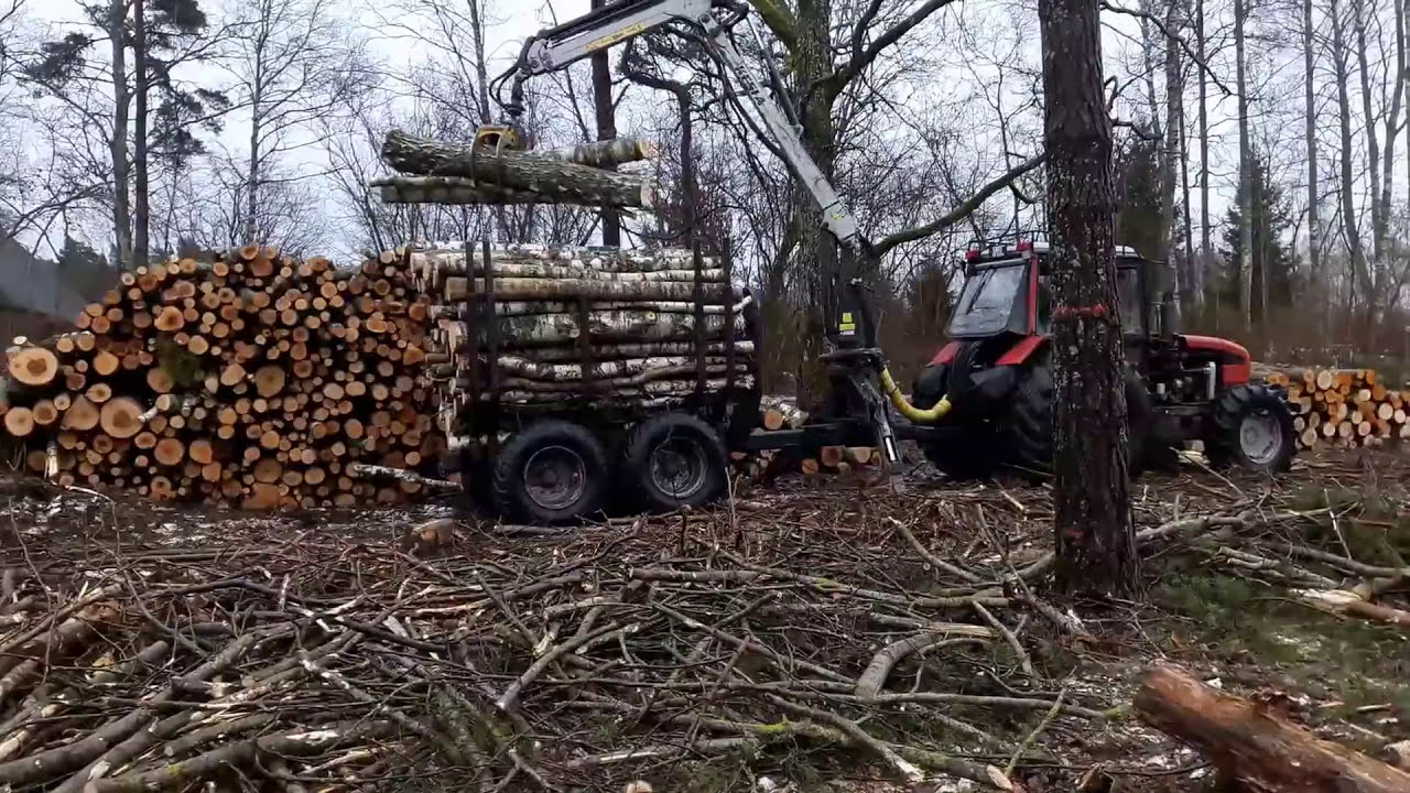 Belarus 952.3 with a trailer Kesla (timber unloading)