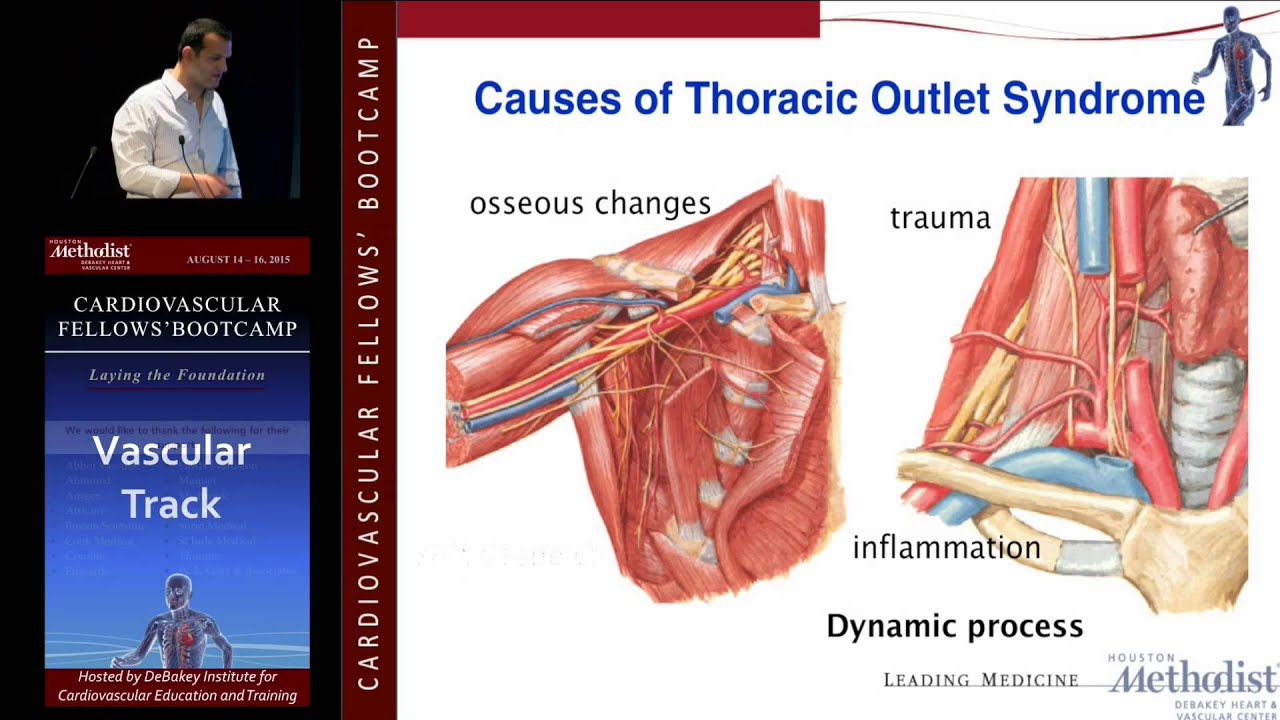 Anatomy and Physiology (Carlos Bechara, MD)