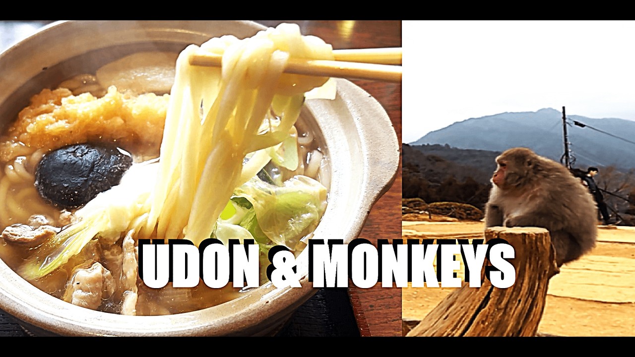 Wild Monkeys & Hot Udon in Arashiyama, Kyoto
