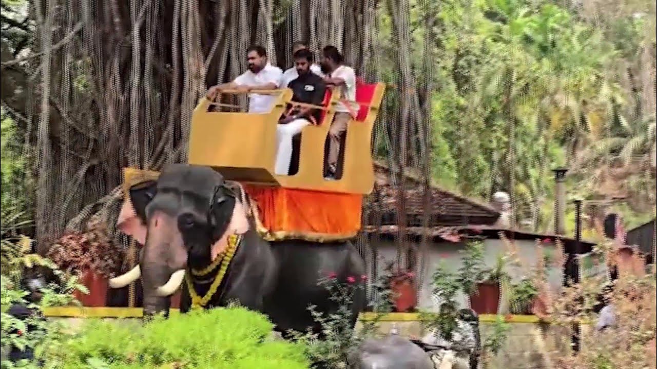 ആനപ്പുറത്ത് സഫാരി ആയാലോ..? ഇന്ത്യയിലെ ആദ്യ മെക്കാനിക്കൽ ആന സഫാരി തുമ്പൂർമുഴിയിൽ | Thrissur