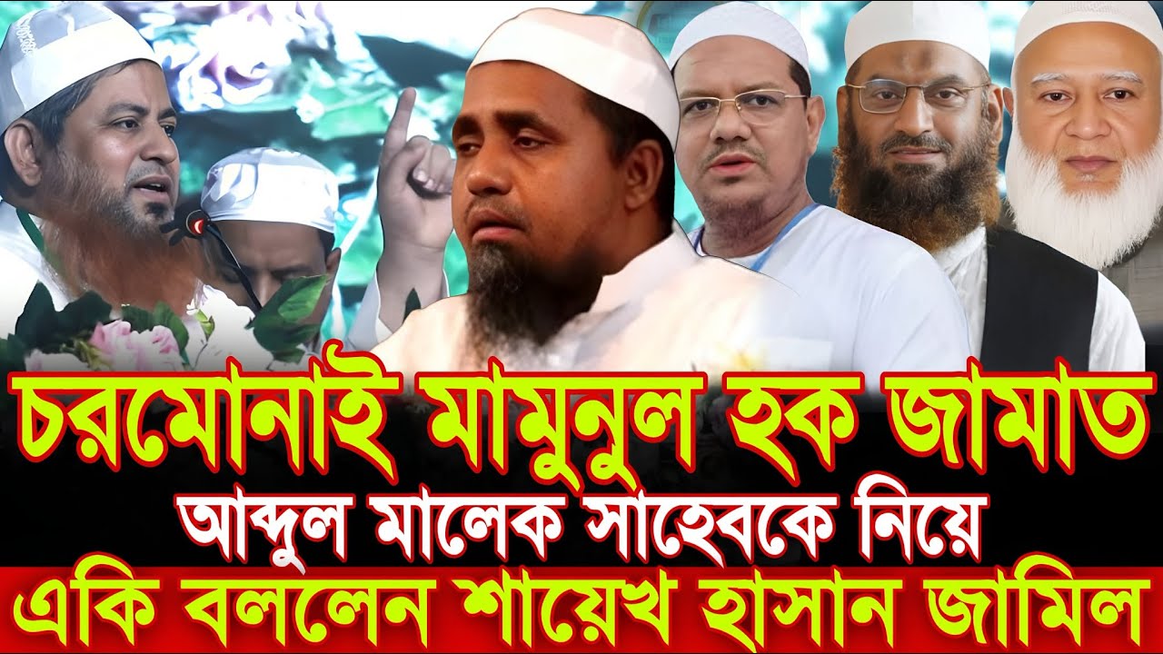চরমোনাই মামুনুল হক জামাত আব্দুল মালেক সাহেবকে নিয়ে একি বললেন শায়েখ হাসান জামিল Hasan Jamil