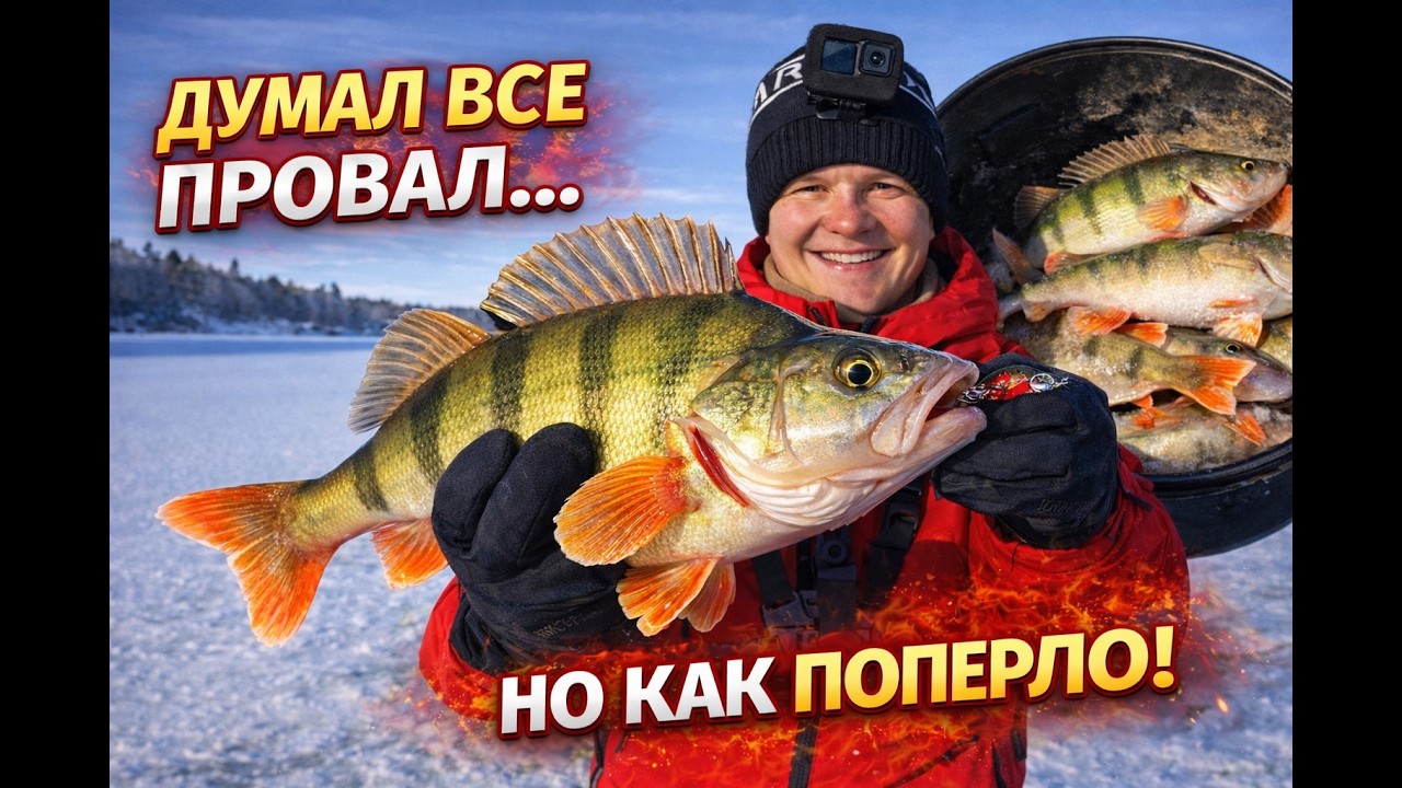 Хотел сворачиваться... и тут началось! Ловля окуня#рыбалка #зимняярыбалка #окунь