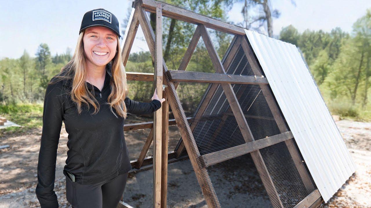 Eggs Are Expensive So I'm Building A Chicken Coop