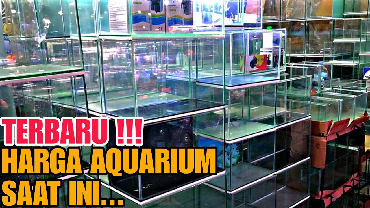 🔴 TERMURAH !!! UPDATE HARGA AQUARIUM DI JATINEGARA TERBARU TERLENGKAP TERMURAH