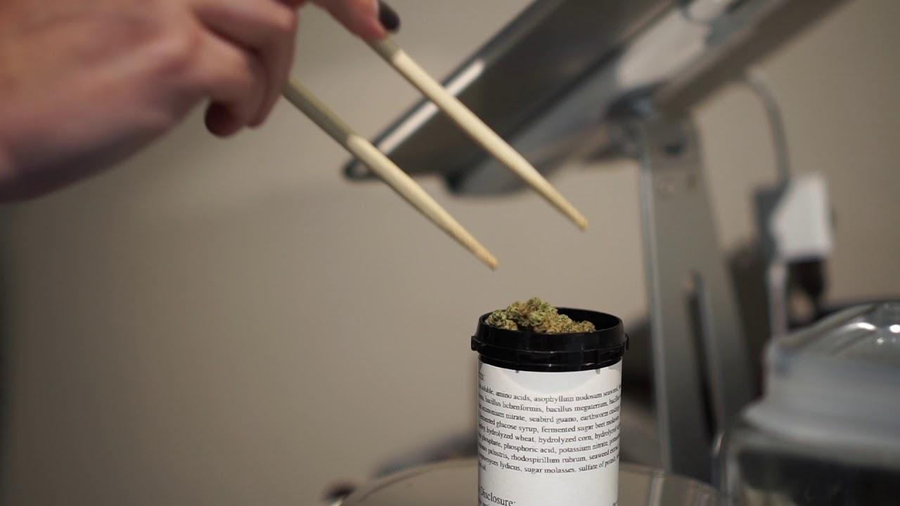 2018.11.19 - Dispensary Video