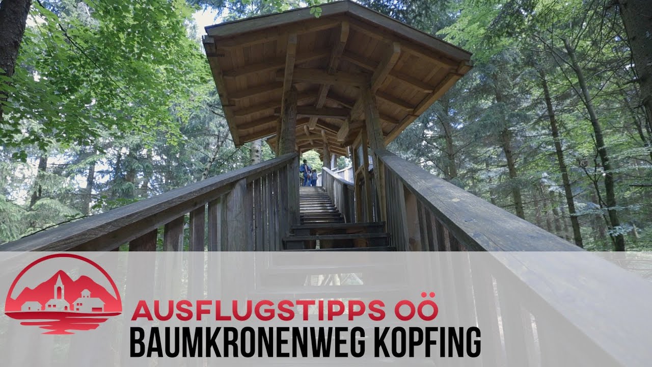 Ausflugstipps OÖ - Baumkronenweg Kopfing