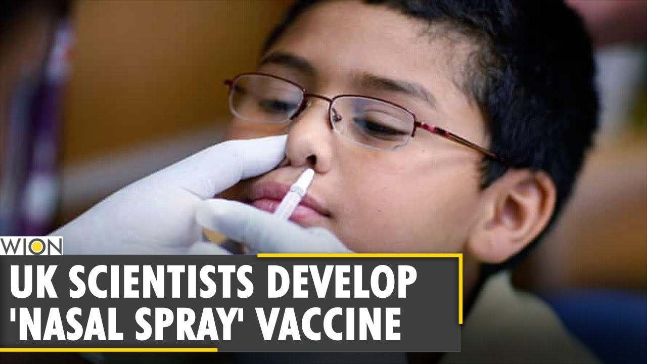 UK: Lancaster University researchers develop 'Nasal Spray' COVID vaccine | World News | WION News