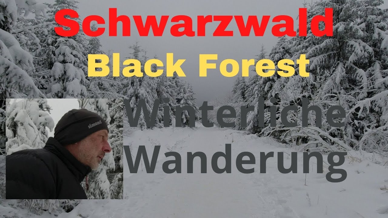 Winterwanderung Black Forest Schwarzwald Alexanderschanze Zuflucht Kniebis Winterlich Verschneit