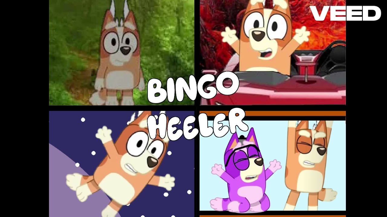 Bingo Heeler Remix 61