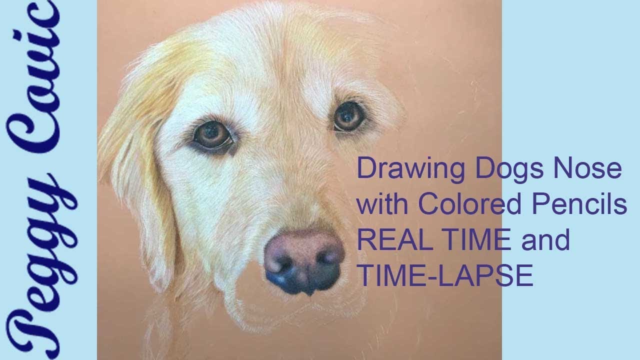 Drawing a Dog's Nose in Colored Pencils