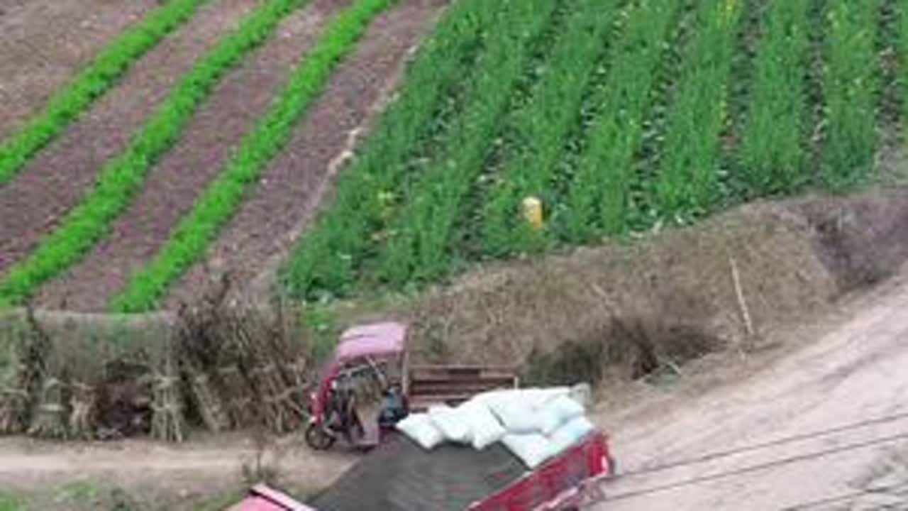 J了，到目的地发现水泥落了三个，你们帮我看哈看是在哪里落了的😭。#一份辛苦一份收获这就是农民真实生活