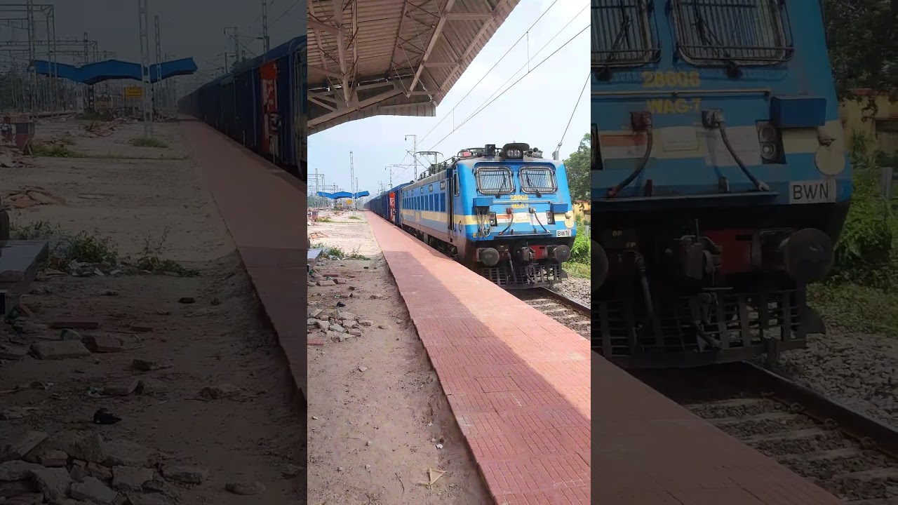 Beautiful Birds sound and Train horn sound🔊😱