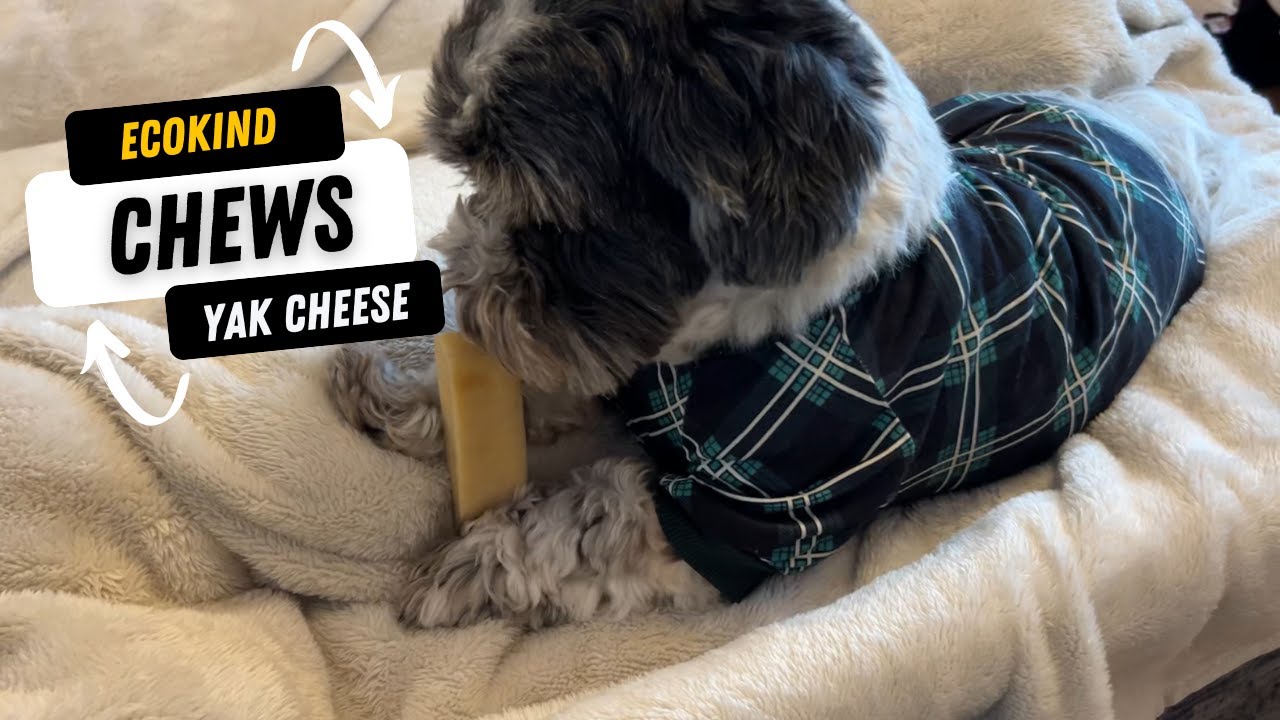 EcoKind Yak Cheese Chews - Demo - Watch Before You Buy