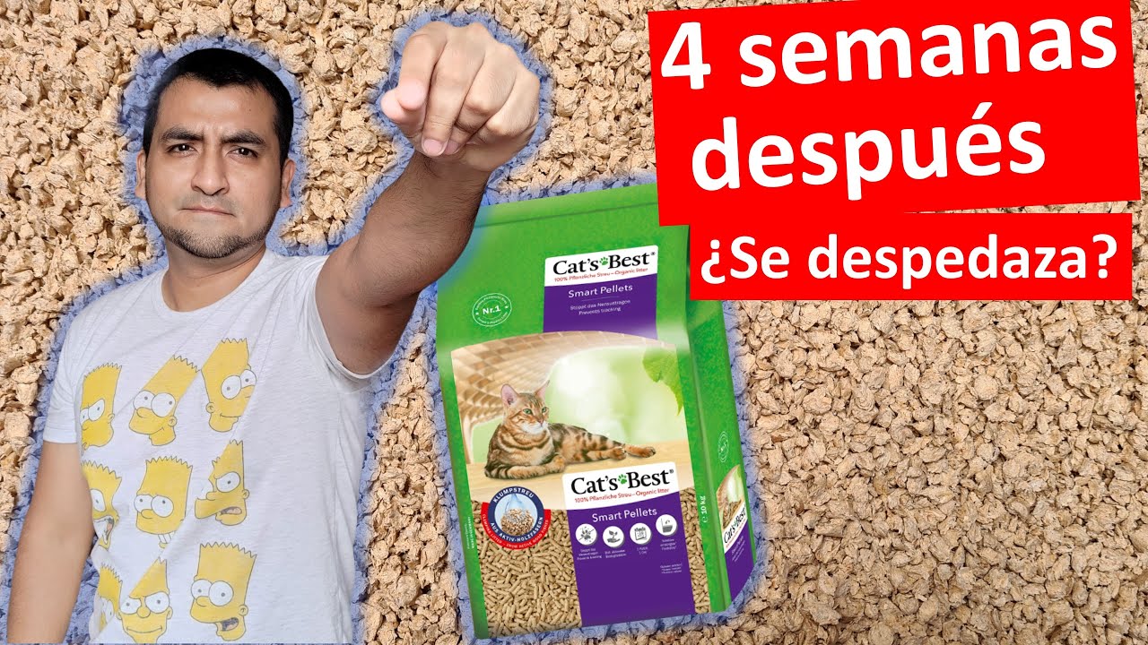 4 semanas después: ¿se DESPEDAZA? Cat's Best Smart Pellets de 1 semana versus Cat's Best de 1 mes