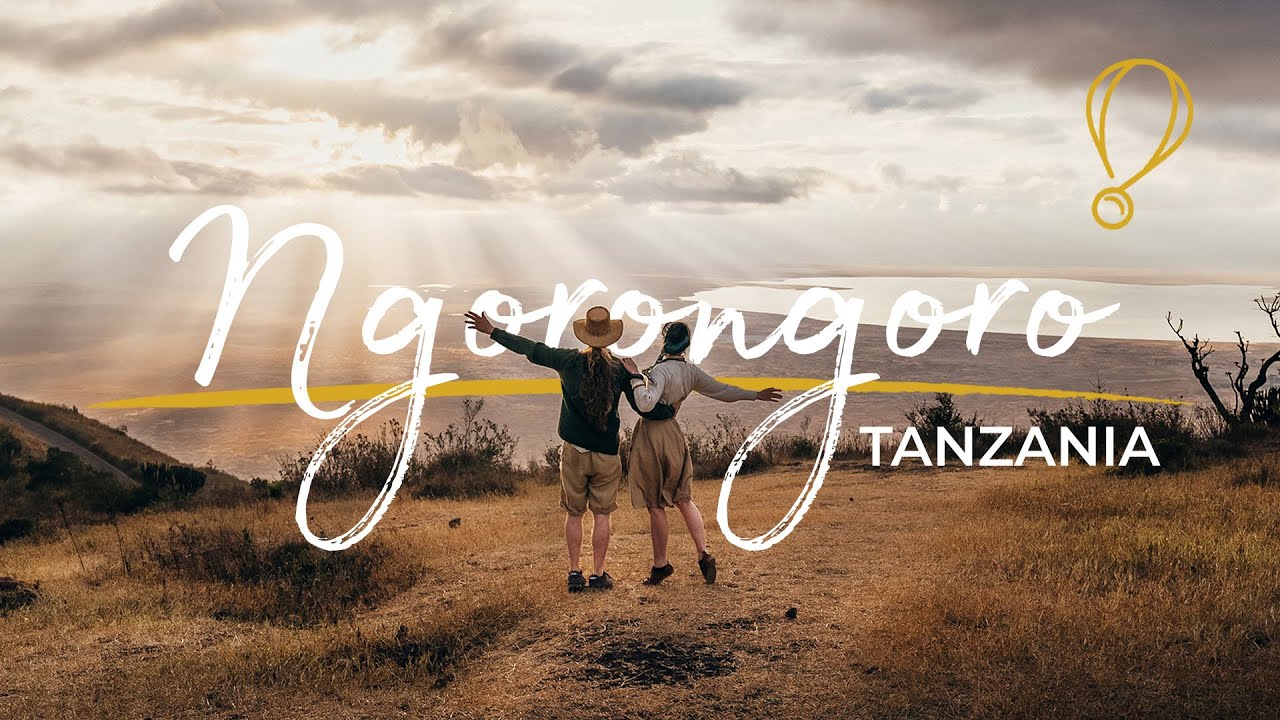 Viaggio nelle TERRE DI MUFASA: safari in Tanzania parte 1