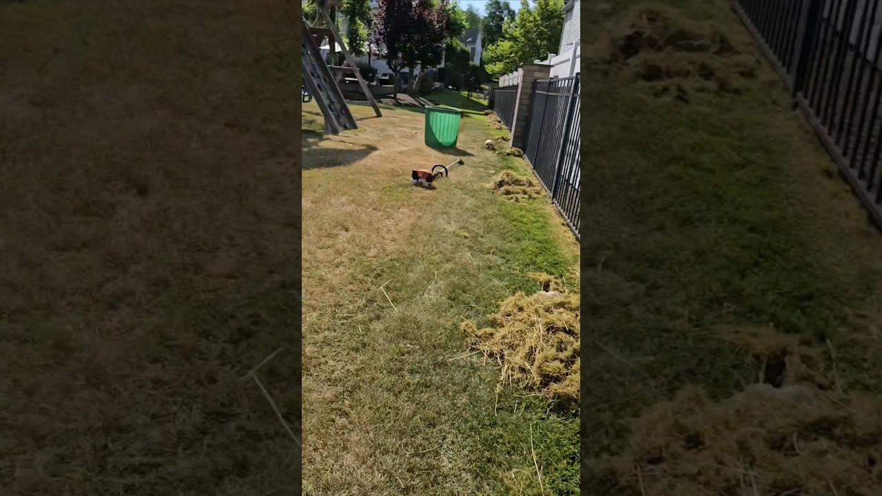 Parte #2 del wireo de pasto quedó  limpio entre medio de las 2 fence algo complicado pero perfecto👌