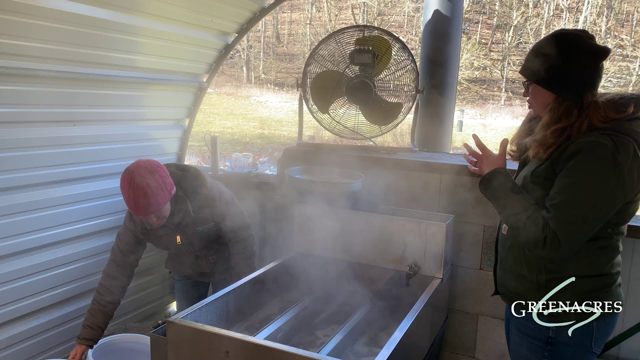 Maple Syrup -  Boiling Down the Sap