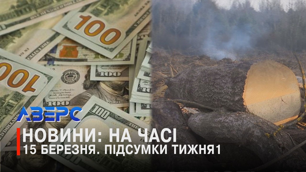 ДЕРИБАН ПО-ЛУЦЬКИ. БІЗНЕС НА УХИЛЯНТАХ. РУБАЮТЬ АЖ ДИМИТЬ