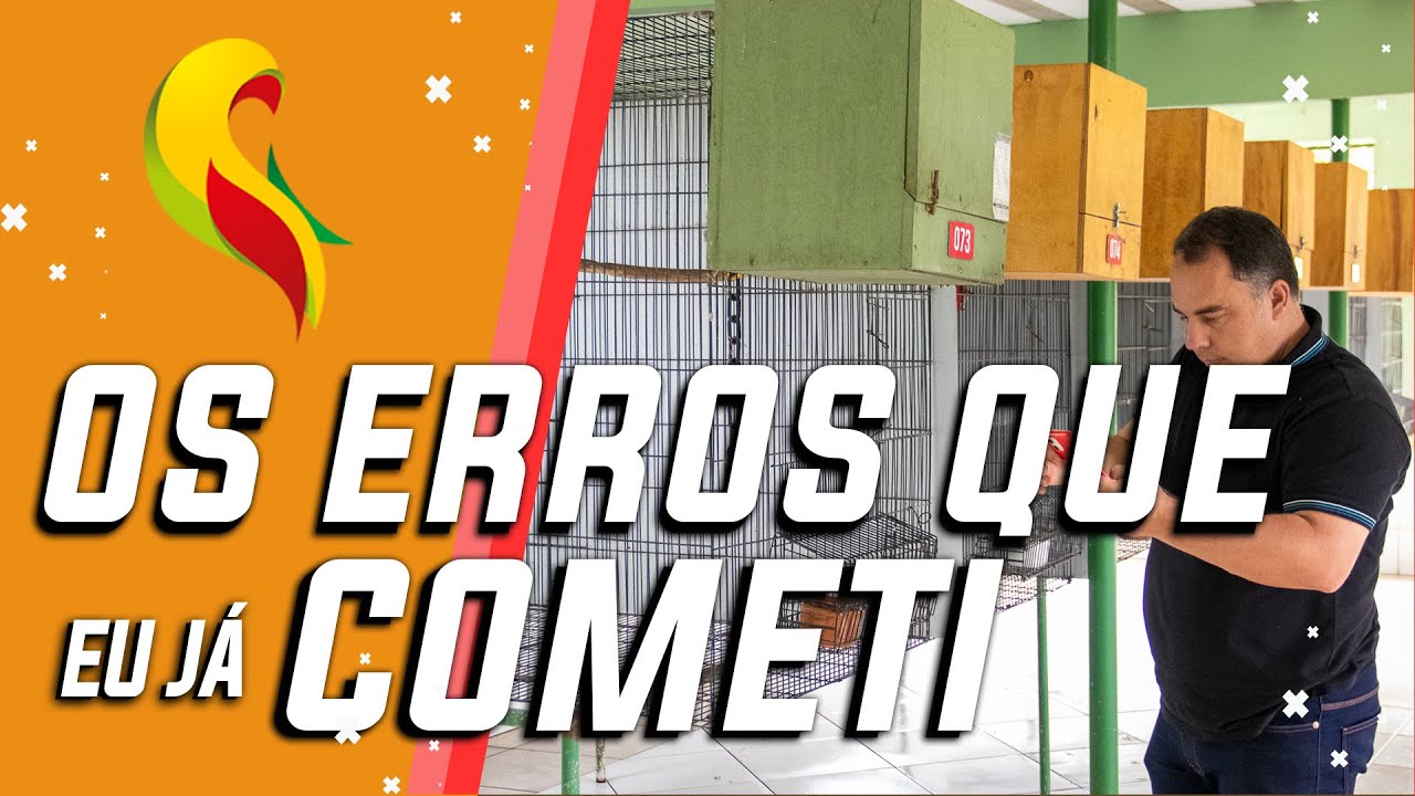 3 ERROS DO REI DAS AVES (Não faça isso!)