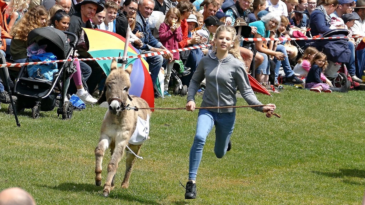 Eselrennen Hößlinswart 2017