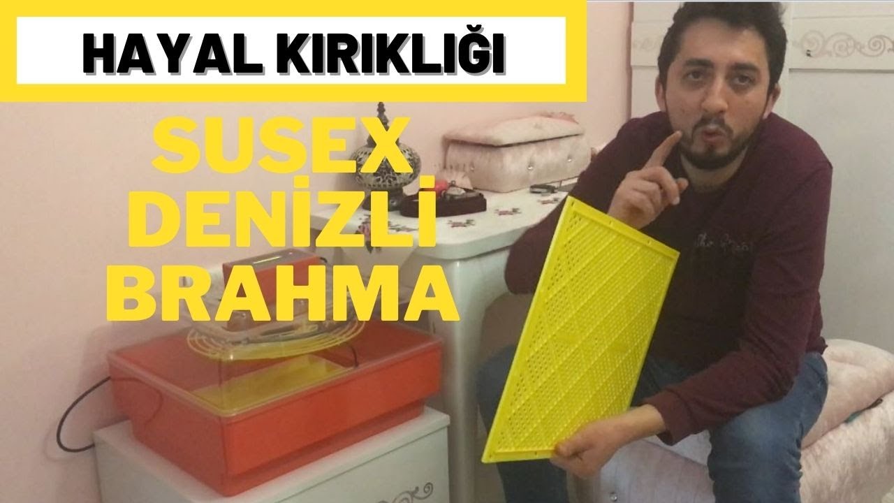 VGS 50 - BU HATALARI YAPMAYIN! TEMİZLİK?
