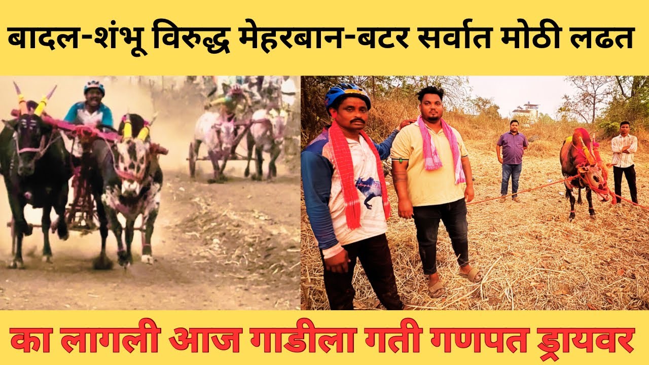 शंभू-बादल विरुद्ध मेहरबान-बटर गणपत ड्रायवर यांची प्रतिक्रिया काय म्हणले बघा 🙏