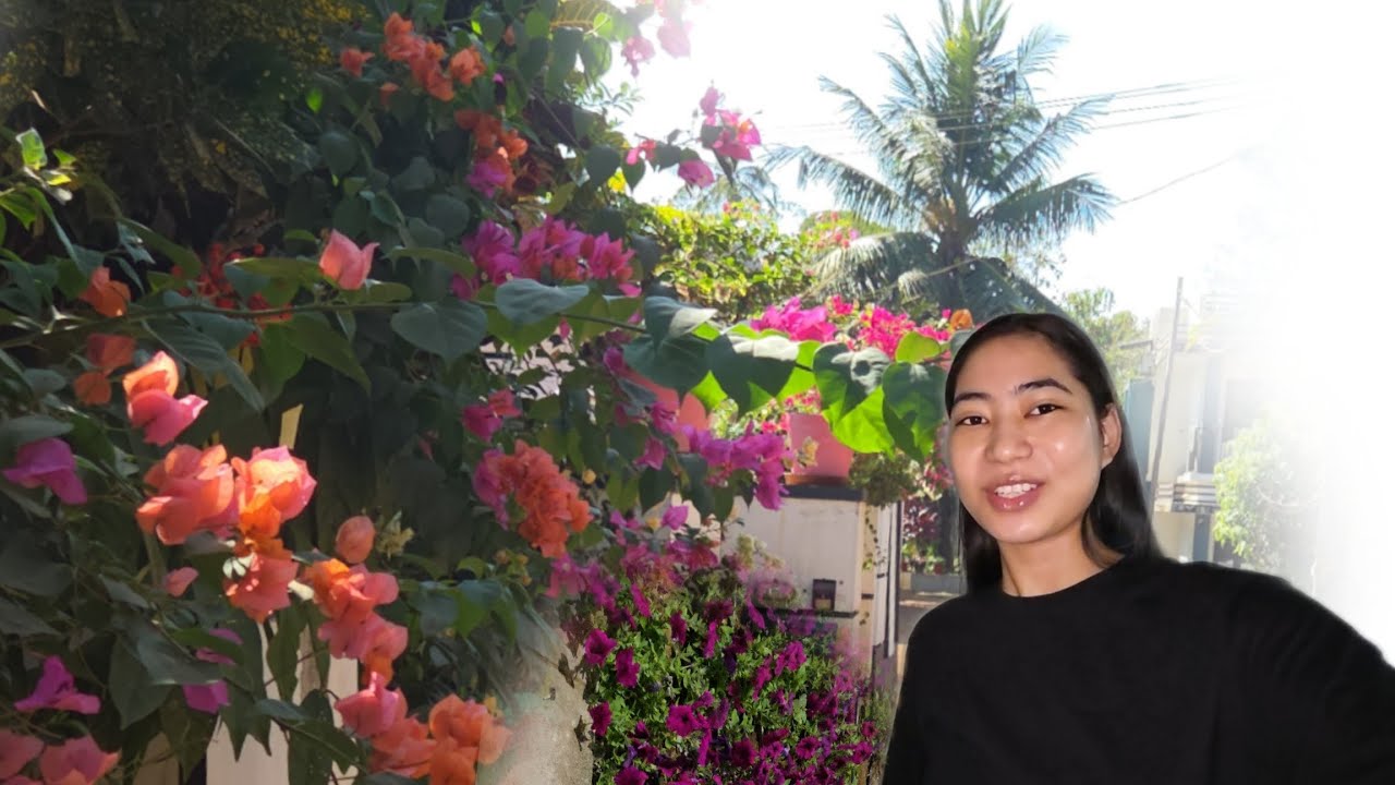 Finally kerala nifri Assam courier kow horbai agha//Draft vlog part 2 🤭//@Manishabasumatary644 
