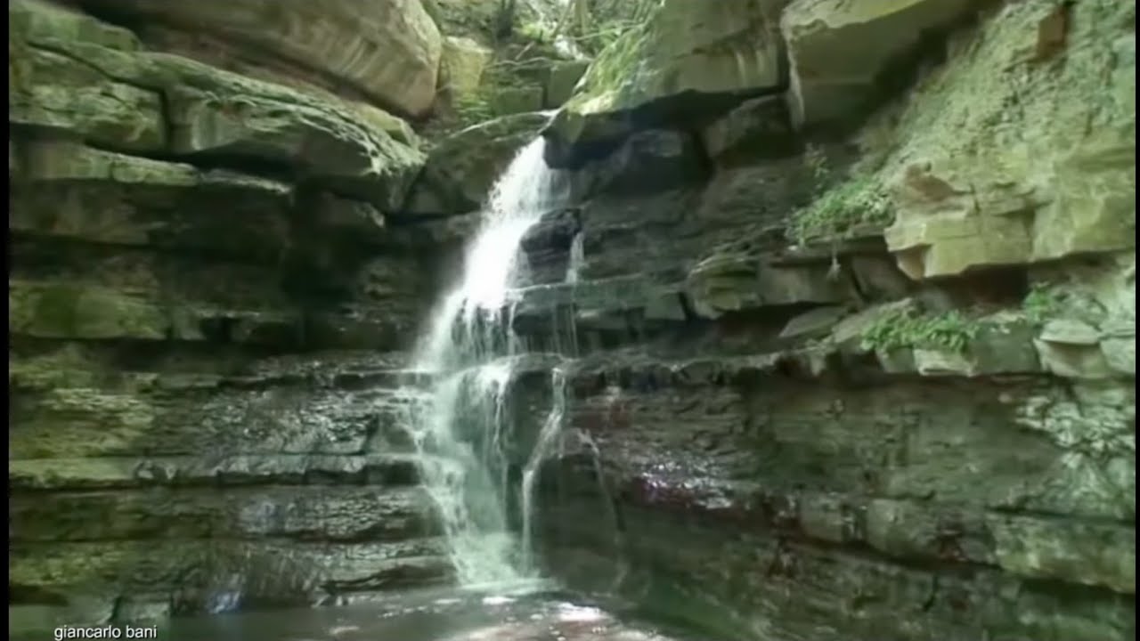 La straordinaria bellezza naturale del torrente Rovigo e dintorni