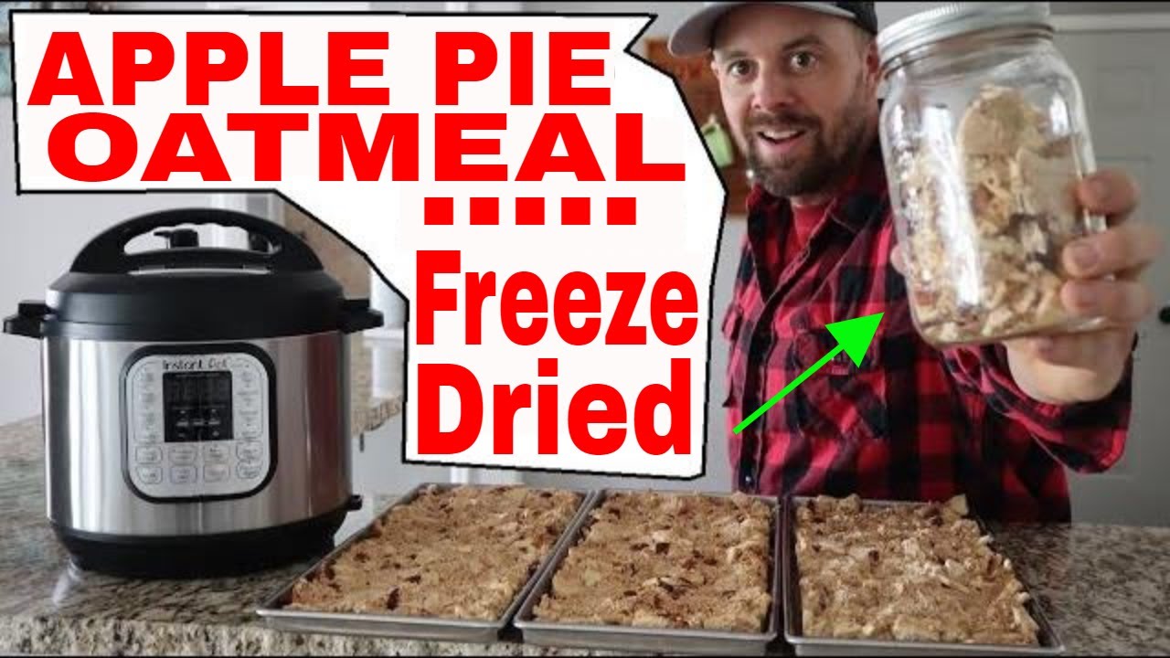 Freeze Dried HOT APPLE PIE Oatmeal Bites 