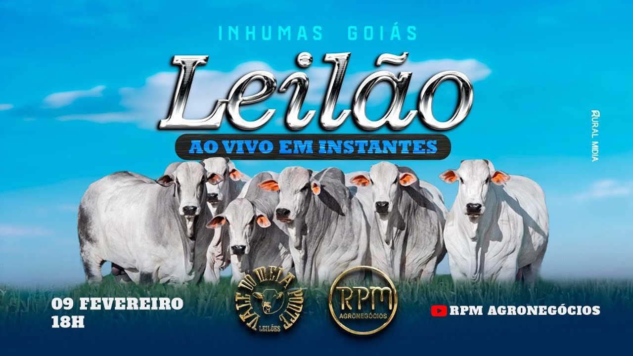 VALE DO MEIA PONTE LEILÕES - INHUMAS - LEILÃO VIRTUAL E PRESENCIAL - 09 DE FEVEREIRO DE 2026.