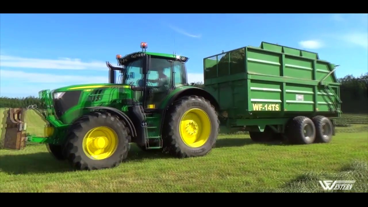 Silage season, silage trailer in grass silage harvest. Claas Jaguar 850 forage harvester, MF 6499
