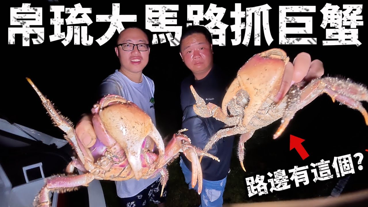 帛琉大馬路 滿地氾濫巨型螃蟹 椰子蟹 還遇到帛琉鱸鰻??口感像干貝的超厲害螃蟹肉 夢幻食材馬路開找@laibagogogo