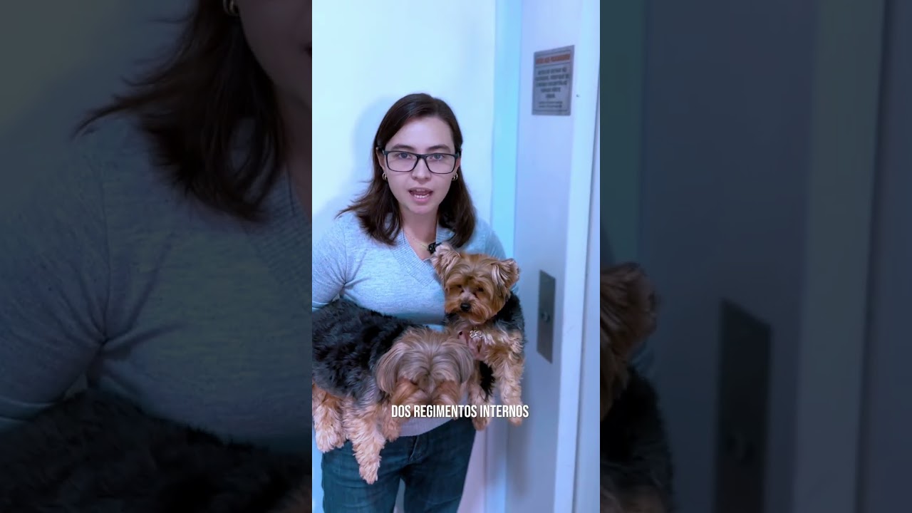 Pet em condom&iacute;nio