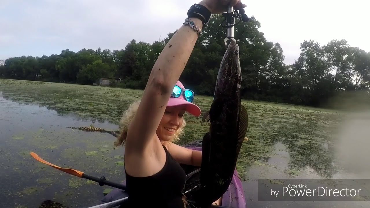South Jersey Snakehead Fishing