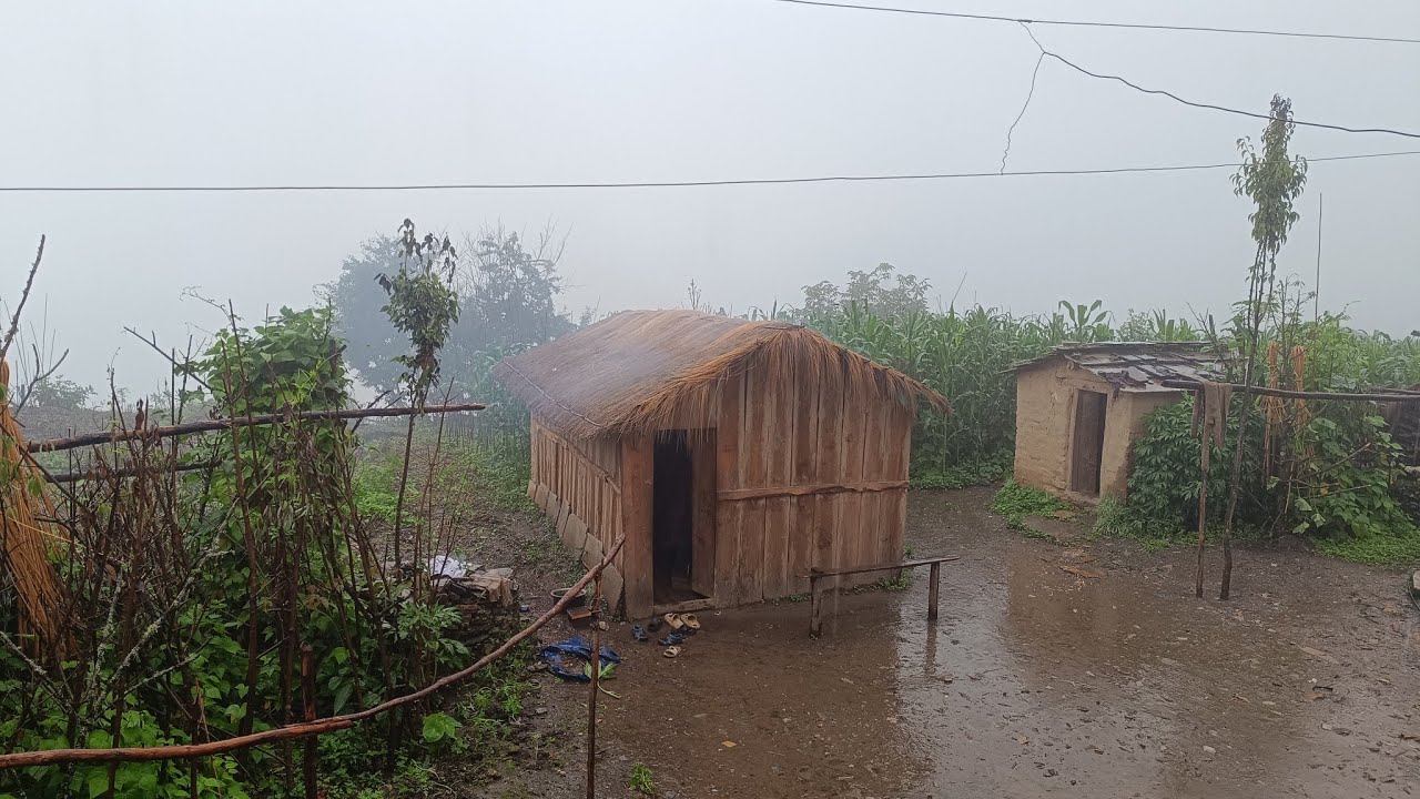 Surviving Life in the Nepali Himalaya's During the Rainy Season | Living with Beautiful Nature |