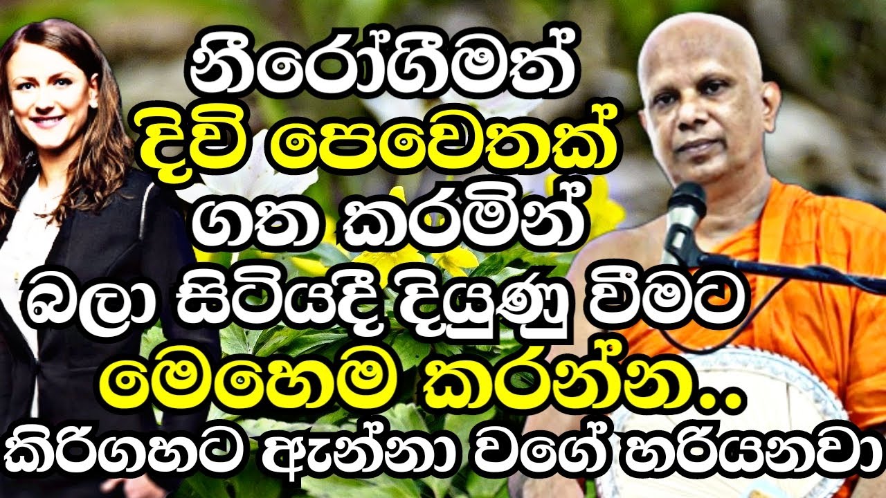 නීරෝගීමත් දිවිපෙවෙතක් ගතකරමින් බලාසිටියදී දියුණුවීමට අද ඉදන්වත් මෙහෙමකරන්න|Malimbada Pannasara Thero