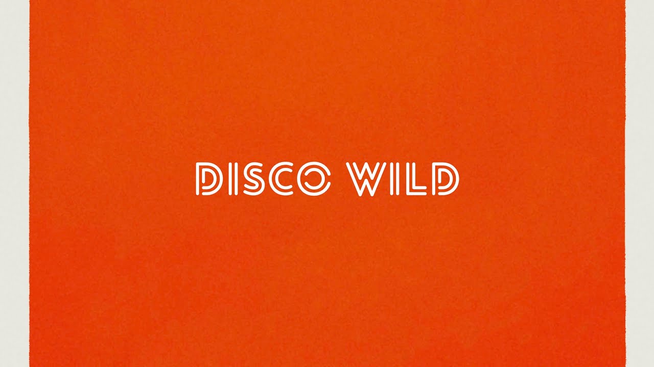 Namialus Validity - Disco Wild (A Million Dru Hills)