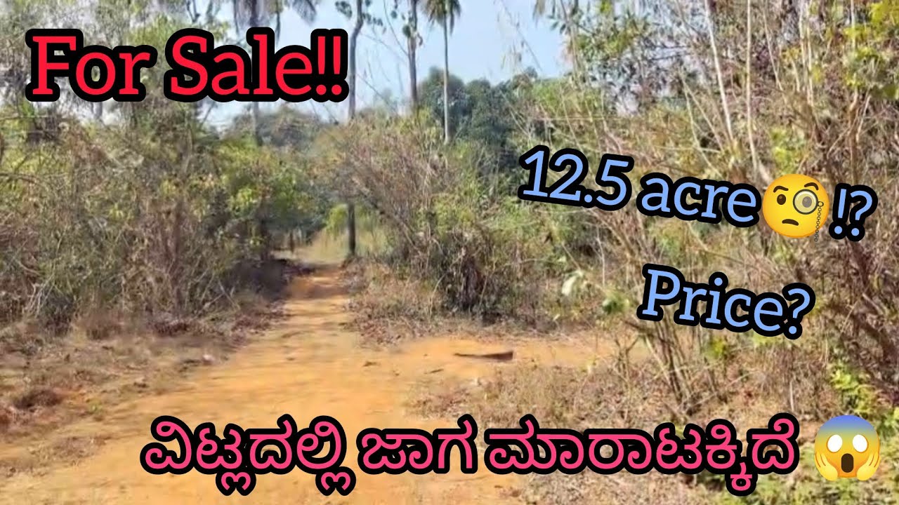 Property for Sale in Vitla😨|ವಿಟ್ಲದಲ್ಲಿ ಜಾಗ ಮಾರಾಟಕ್ಕಿದೆ #youtube #viral #video #viralvideos #property