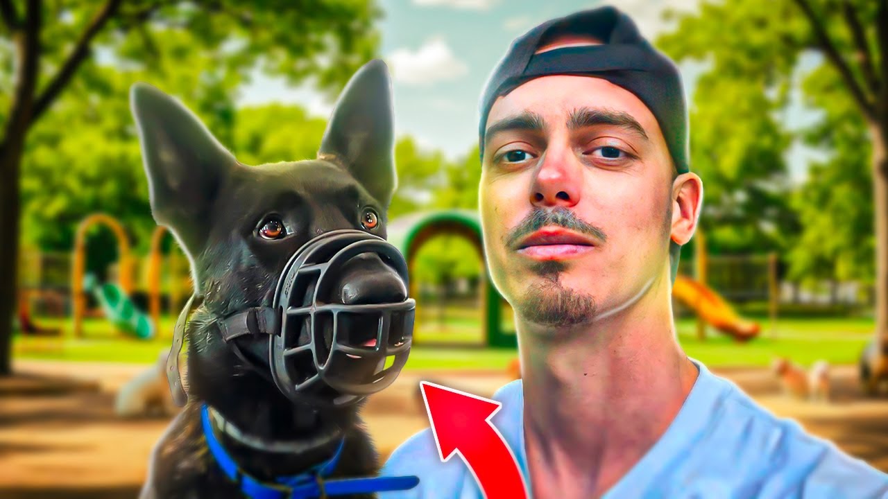 Apprendre la museli&egrave;re a son chien en m&eacute;thode POSITIVE !!!