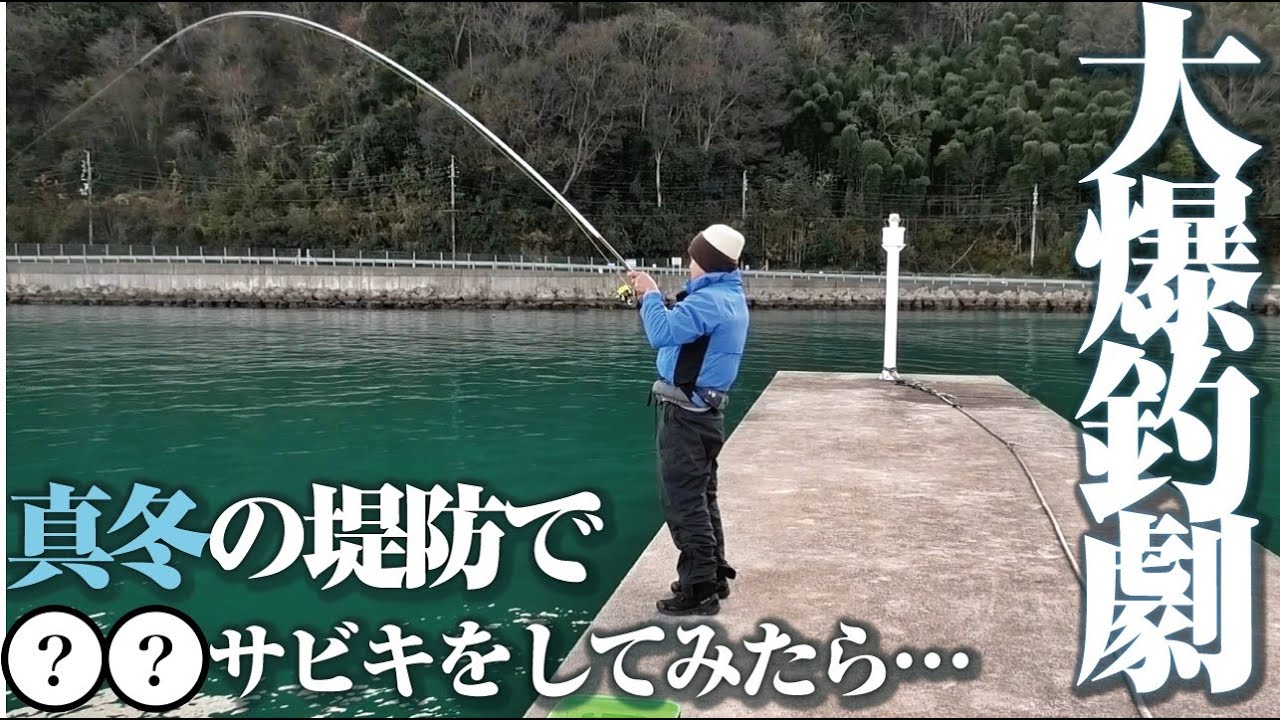 良型アジ連発からタイまで釣れる大快挙。今からの時期はこんなサビキ釣りを試してみては？
